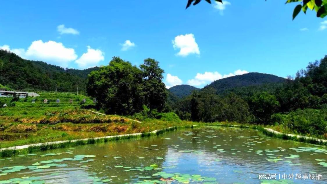 本周公域推广一体化打造您的内容生态:短视频推广与账号运营的一站式服务,抖音小时业务自助下单软件：手机软件自动采购服务系统高效便捷新体验