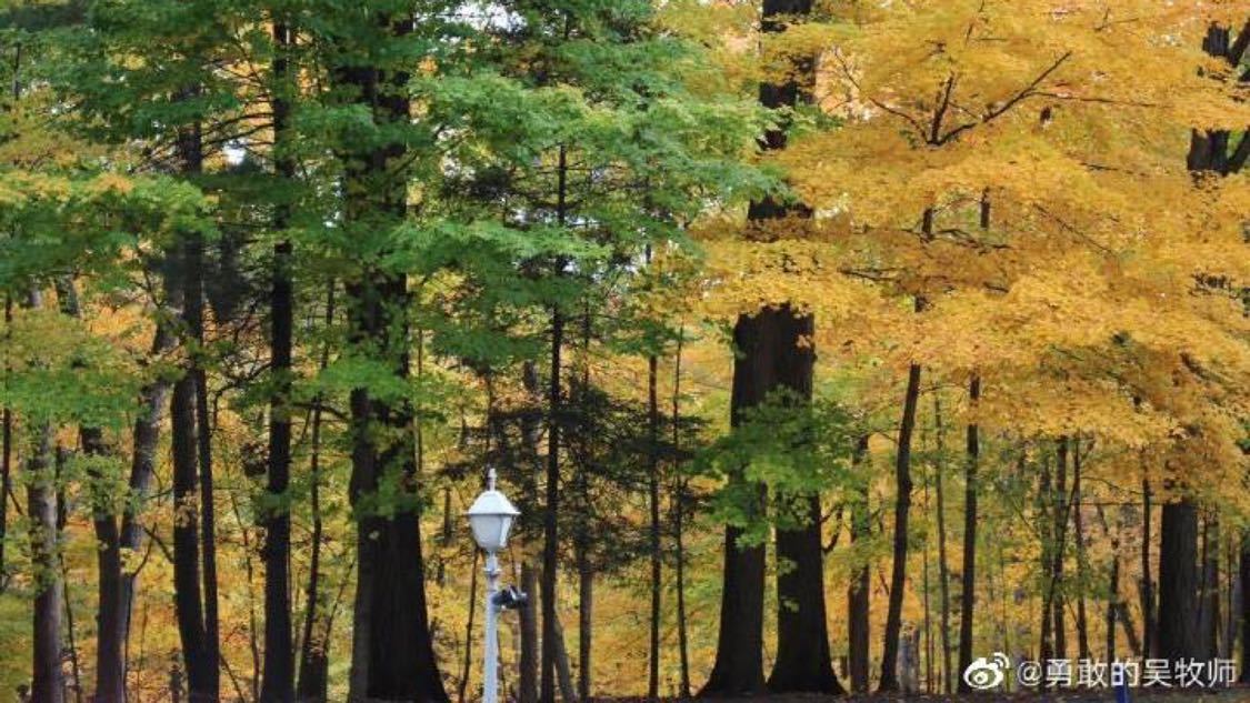 代涨快手业务评论点赞：快手新功能上线助力创作者流量增长